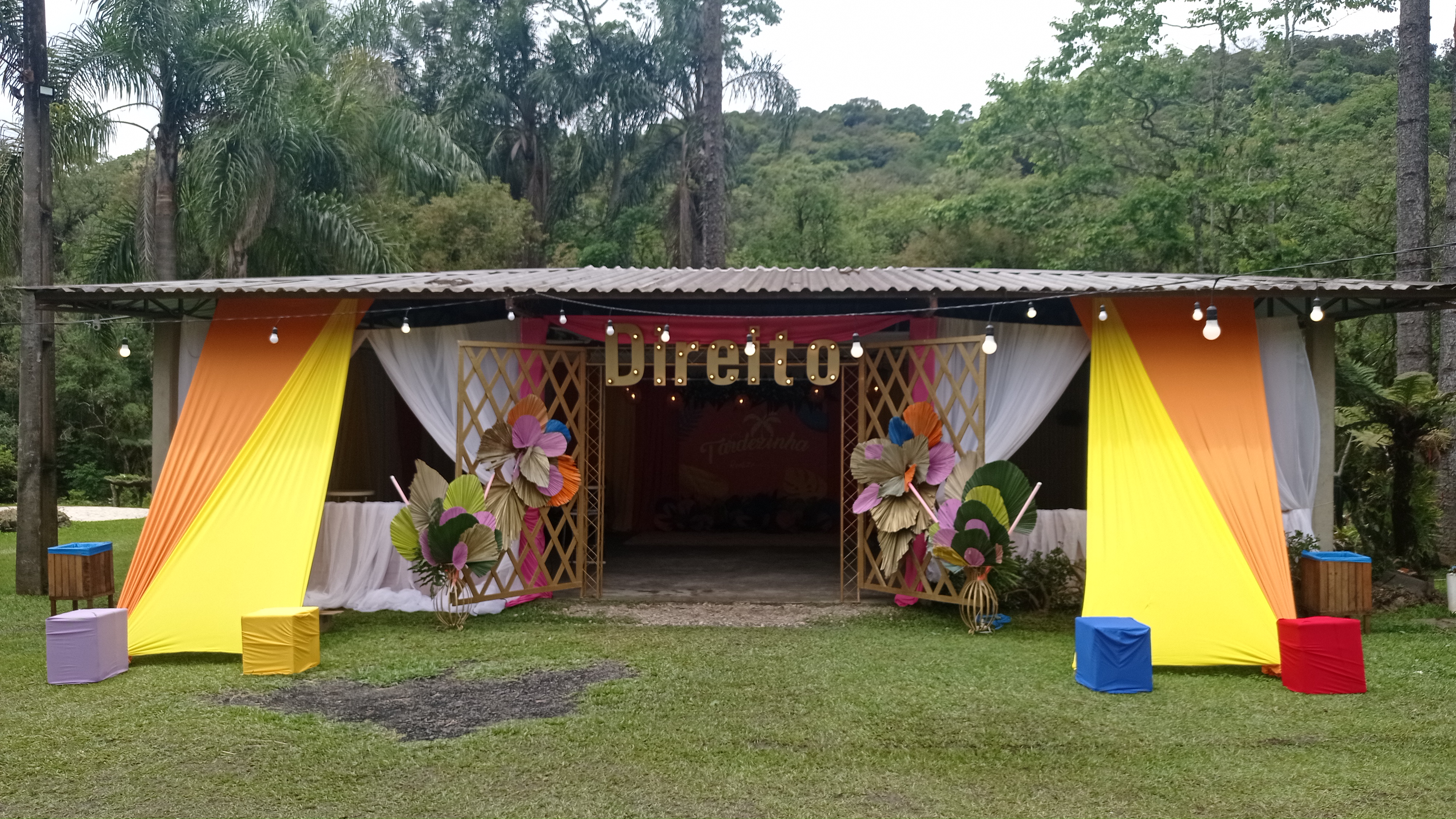 Grupo de amigos celebrando formatura ao ar livre