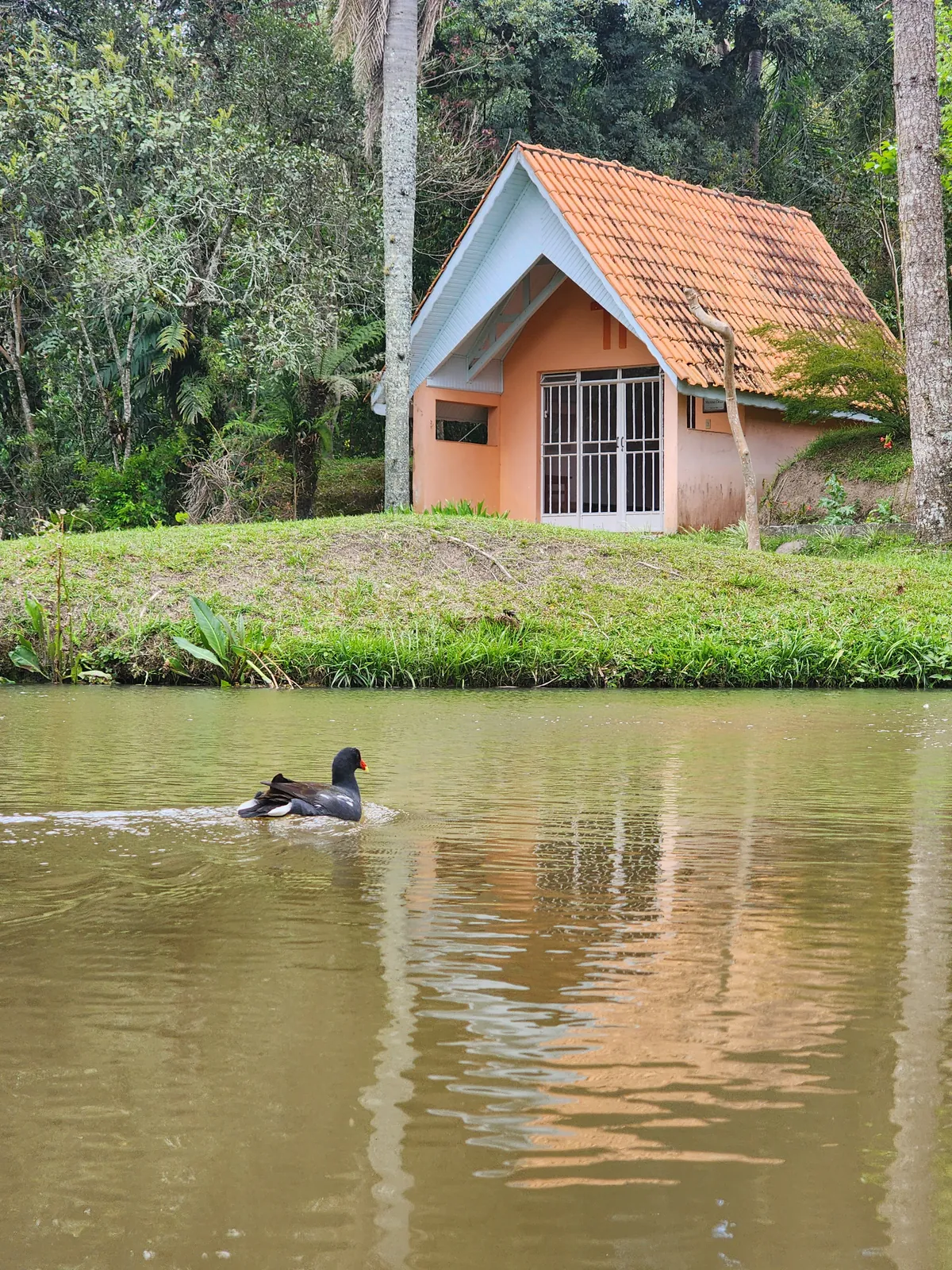 Capelinha Rústica no Bosque