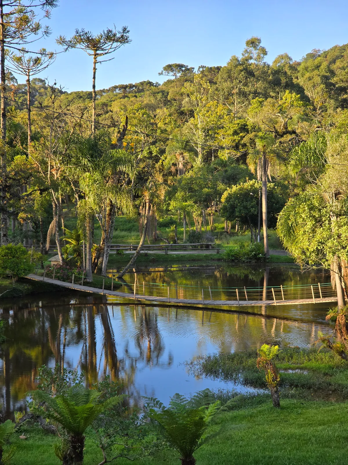Natureza – Flores, Lagos e Jardins