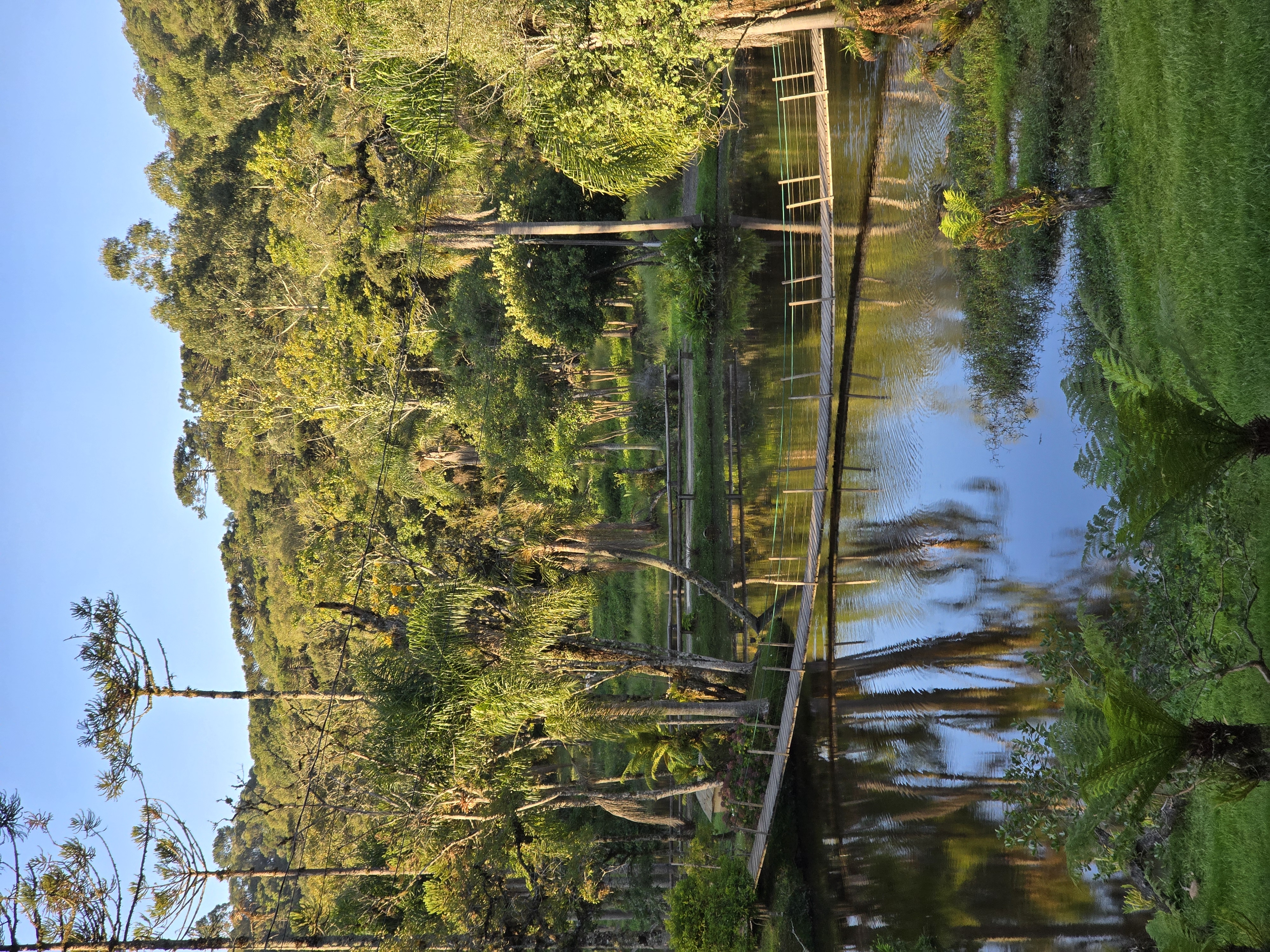 Ponte de Madeira e Lago